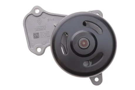 Водяний насос 1,0 12V Renault Logan II (17-) Renault RENAULT 210102662R