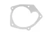 Прокладка водяного насосу Duster/Logan/Sandero 1.5-2.0 DCI 97- RENAULT 210147197R (фото 1)