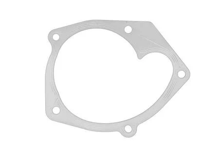 Прокладка водяного насосу Duster/Logan/Sandero 1.5-2.0 DCI 97- RENAULT 210147197R