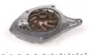 Водяний насос Duster (10-)/Megane III (08-) 1.5dCi RENAULT 7701476496 (фото 2)