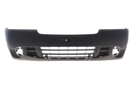 Бампер передній 115 RENAULT DSC_7701066115