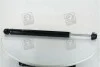 Амортизатор підв. SKODA OCTAVIA 97-, FABIA задн. газ. RIDER RD.2870.343.348 (фото 3)