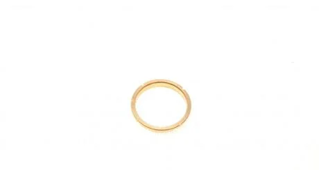 Кольцо фланеца ROTWEISS RWS2054