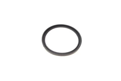 Прокладка патрубка інтеркулера ROTWEISS RWS2669