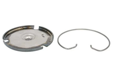 Пластина вижим з бортовим кільцем SACHS 3100654003