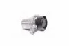 Натяжная планка, поликлиновой ремень SCHAEFFLER GRUPPE 534 0624 10 (фото 1)