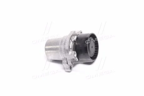 Натяжная планка, поликлиновой ремень SCHAEFFLER GRUPPE 534 0624 10
