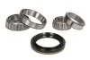 Підшипник маточини (комплект) SKF VKBA596 (фото 1)