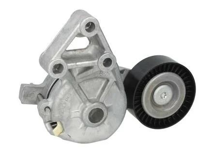 Натяжитель ремня AUDI/FORD/SEAT/SKODA/VW A3/Leon/Octavia/Bora/Golf/Multivan/Transporter "1,9L "95-10 SKF VKM31019