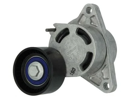 Ролик натяжний MASTER/TRAFIC SKF VKM36041
