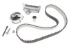 Комплект ременя ГРМ (пр-во SKF) VKMA 01942