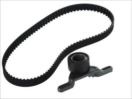 Комплект (ремень+ролики)) SKF VKMA 04202