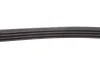 Комплект доріжкових пасків SKF VKMA36067 (фото 4)