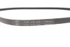 Комплект доріжкових пасків SKF VKMA36067 (фото 5)