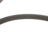 Комплект доріжкових пасків SKF VKMA64119 (фото 3)