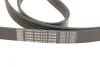 Комплект доріжкових пасків SKF VKMA64119 (фото 4)