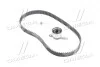 Комплект ременя ГРМ (пр-во SKF) VKMA 93005