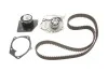 Ремкомплект ГРМ + помпа RENAULT Megane 19dCi 08-15 SKF VKMC06008 (фото 1)