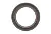Ланцюг розподілвалу (к-т) SEAT/SKODA/VW Ibiza/Fabia/Fox/Polo "1,2 "01-14 SKF VKML81001 (фото 7)