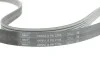 Поликлиновой ремень SKF VKMV 6PK2196 (фото 2)