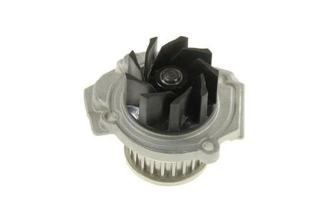 Водяний насос SKF VKPC 82100