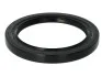 Сальник маточини 120x160x15 SKF VKS 6201 (фото 1)
