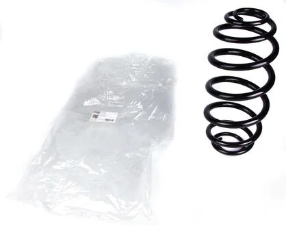 Пружина (задняя) Solgy 212001