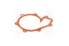 Прокладка помпи 2.7XDI 20V, 2.9TD 10V, 2.9D 10V, 2.5D 20V, 2.3D 8V, 2.0D 8V MERCEDES-BENZ G-Class W463 90-18, Sprinter 901-905 95-06, Vito W638 96-03, T1 (601) 77-95, E-Class W210 94-03, 190 (W201) 82-93; Korando C 10-19, Rexton 06-12, Kyro SSANGYONG 6612013080 (фото 3)