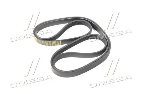 Ремінь приводу Actyon, Kyron, Rexton, Rodius 6PK2255 SSANGYONG 6659970392