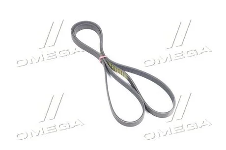 Ремінь генератора Actyon,Actyon Sports,New Actyon,Rexton 6PK1980 SSANGYONG 6719970192