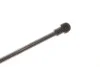 Пружина газова AUDI A3 06/03-08/12 ST023581 STABILUS 023581 (фото 6)