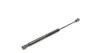 Пружина газова ALFA ROMEO 156 02/97-05/06 ST3183TT STABILUS 3183TT (фото 3)