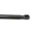 Пружина газова BMW X6 xDrive 35i 01/08-07/14 ST875221 STABILUS 875221 (фото 4)