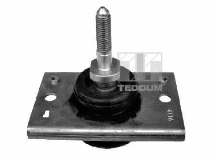 ОПОРА двигуна TEDGUM 00505739