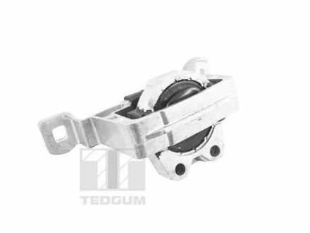 Подушка двигуна TEDGUM TED24027 (фото 1)