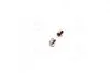 Лампа софитная C5W SV8,5-8 28mm 12V 10W &lt;&gt; TEMPEST 12V10W_C5W SV8,5-8 2 (фото 2)