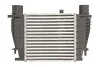 Інтеркулер THERMOTEC DA1003TT (фото 1)