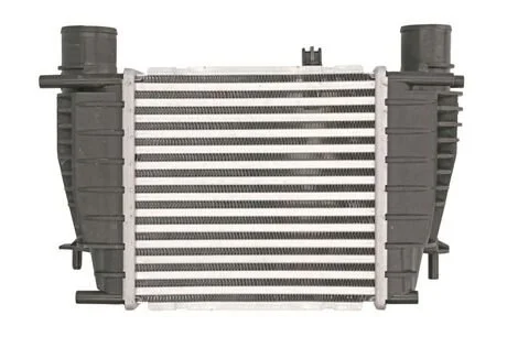 Інтеркулер THERMOTEC DA1003TT
