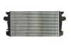 Інтеркулер THERMOTEC DAX013TT (фото 2)
