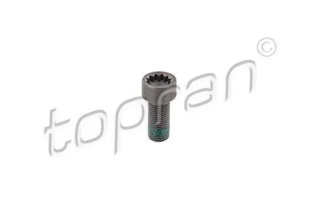 Гвинт з циліндричною голівкою М10*1*22.30 TOPRAN / HANS PRIES 117243