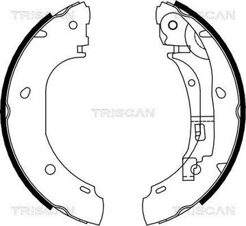 Комплект гальмівних колодок TRISCAN 810010007