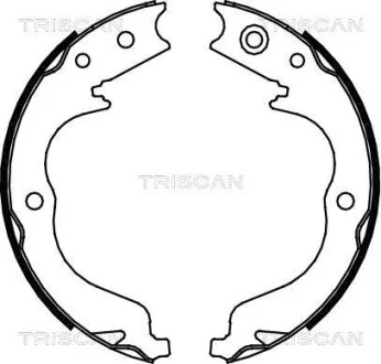 Комплект гальмівних колодок, Стоянкове гальмо TRISCAN 810010029