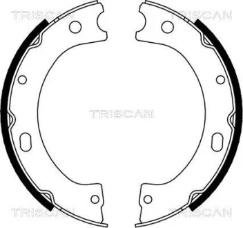 Комплект гальмівних колодок, Стоянкове гальмо TRISCAN 810014011