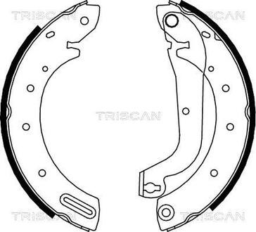 Колодки тормозные задние барабанные TRISCAN 810014596 (фото 1)
