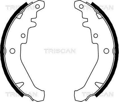 Комплект гальмівних колодок TRISCAN 810015026