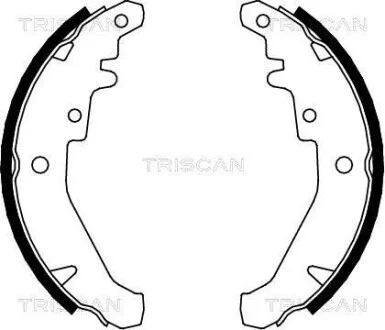 Комплект гальмівних колодок TRISCAN 810015026