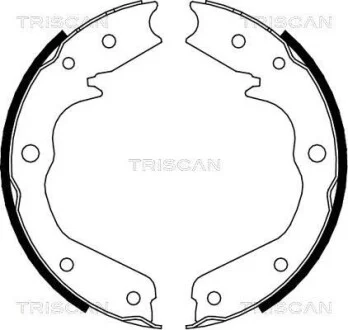 Комплект гальмівних колодок, Стоянкове гальмо TRISCAN 810024002 (фото 1)