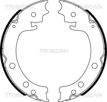 Комплект гальмівних колодок, Стоянкове гальмо TRISCAN 810069006