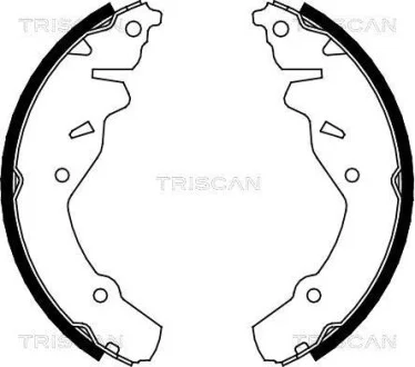 Комплект гальмівних колодок TRISCAN 810080002