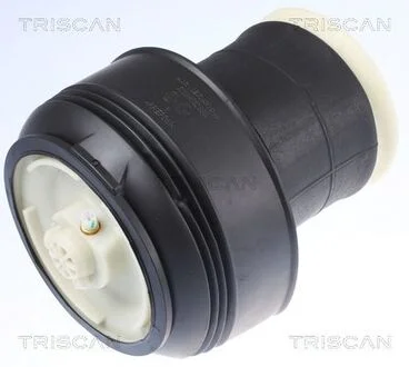 Ресора пневматическая задняя BMW X5 (E70) 30-48 0207-0613 TRISCAN 872011203